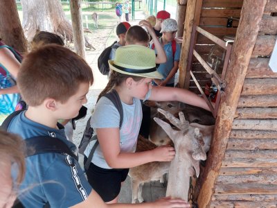 4.B - Týden 19. 6. - 23. 6. 2023 v naší třídě