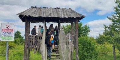 7.A - Baletní představení a procházka k zubrům